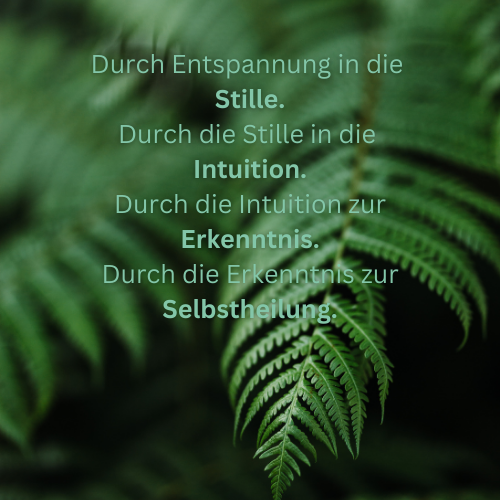 Vaguskurs Fortgeschrittene